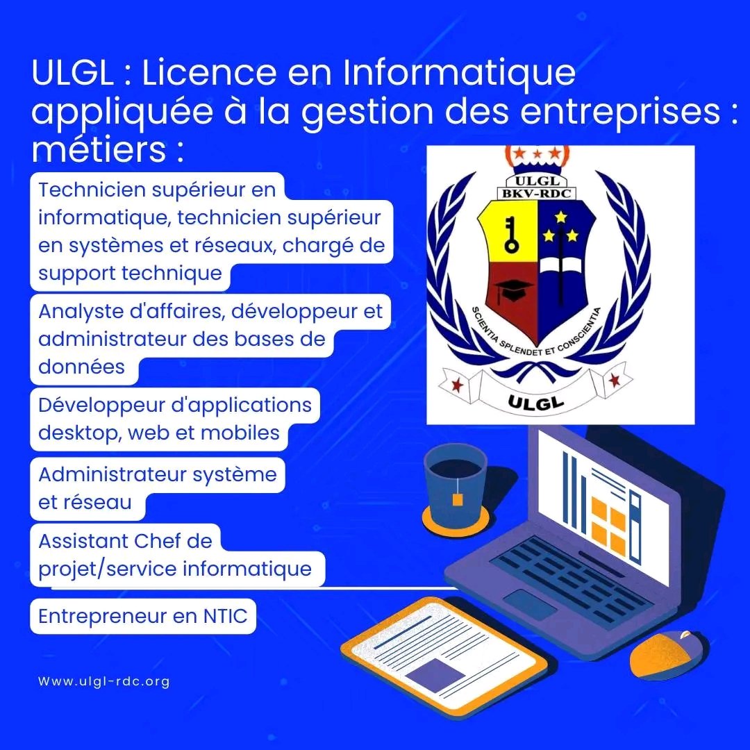 Débouchés professionnels de la Licence en Informatique appliquée à la gestion des entreprises